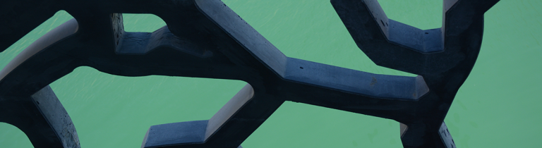 Search Engine Optimization